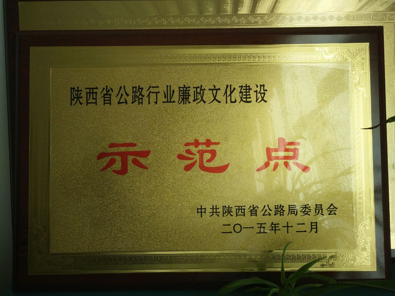 D6E19943F4A1D9EE85D3752F32982729.jpg