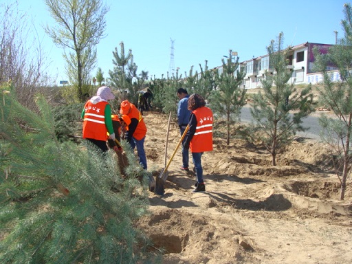 201705091494315402716.jpg