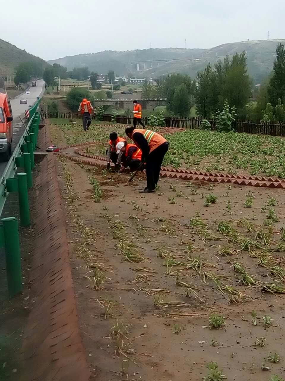 201708101502352892476.jpg