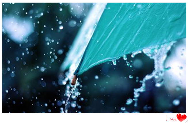 一把雨伞1.jpg