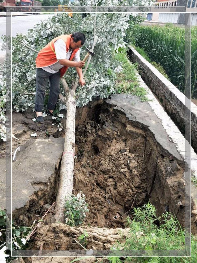 榆阳段抓紧动快   恢复路容.jpg