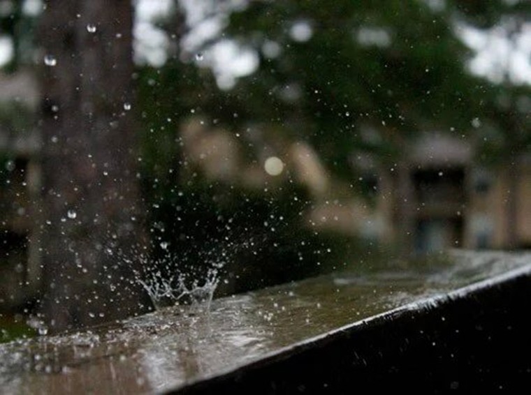 听雨1.jpg