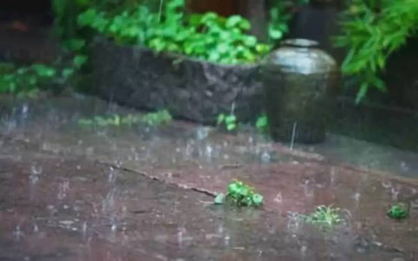 听雨2.jpeg