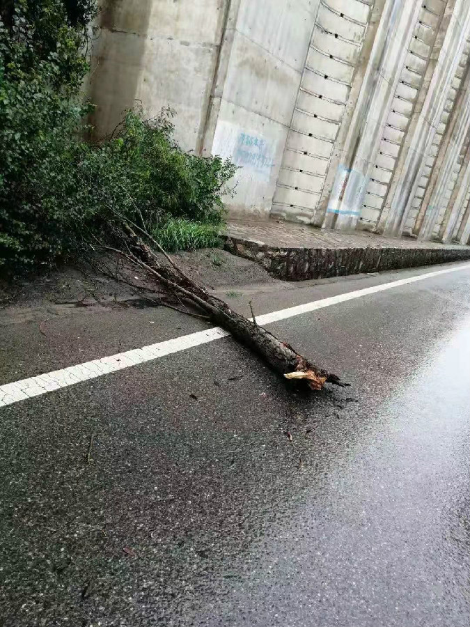 201907291564373212427.jpg