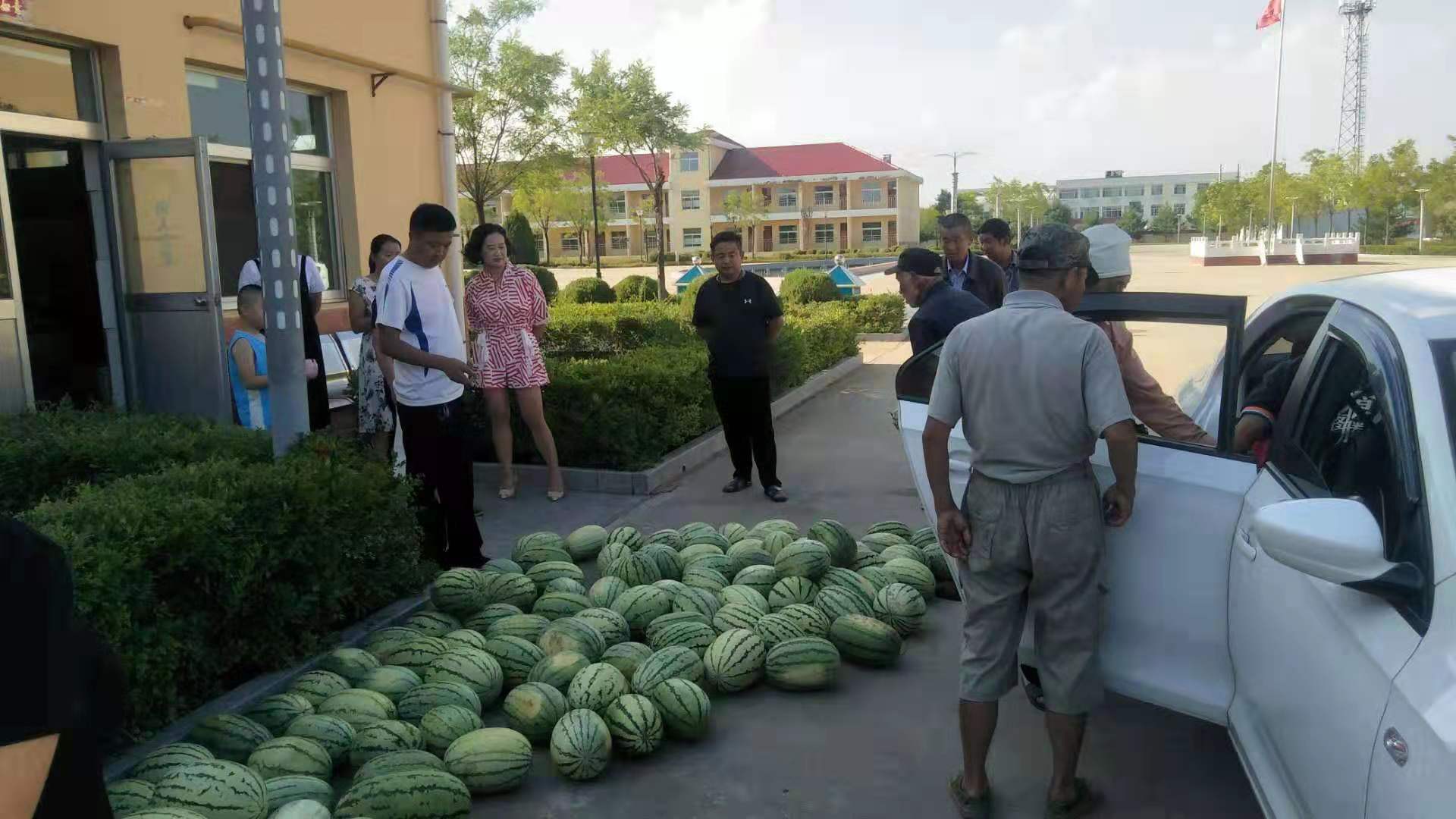 201908131565680577661.jpg