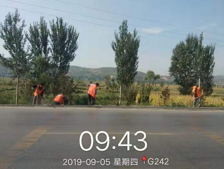 201909091567996775804.jpg