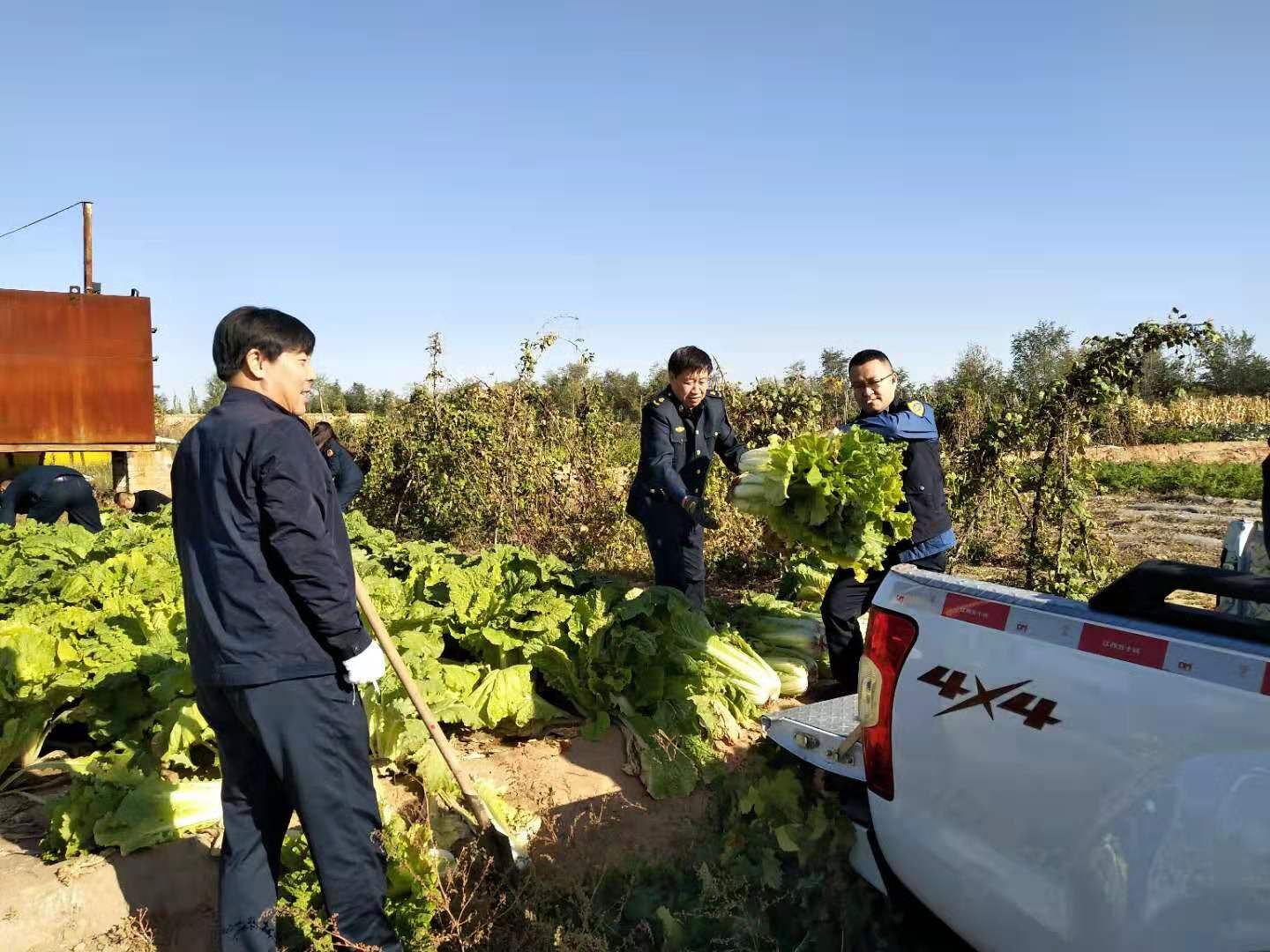 QQ图片20191014112532.jpg