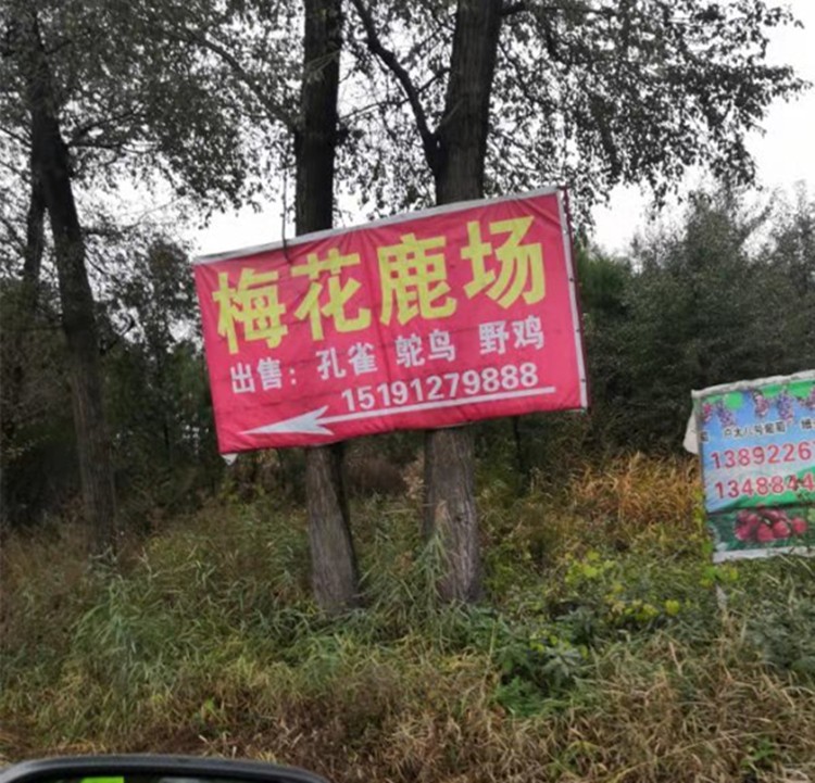 拆违章 (1).jpg