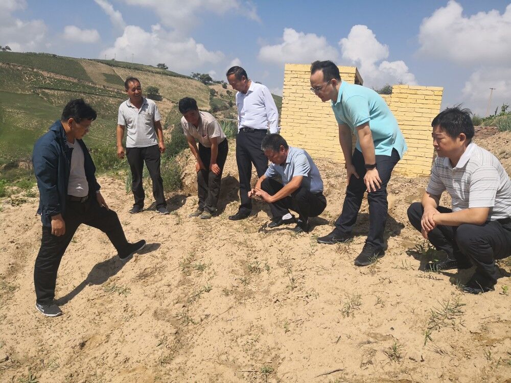 202008241598236772724.jpg