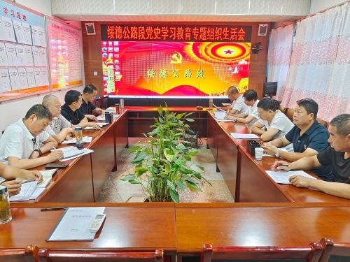党史学习教育专题组织生活会.jpg