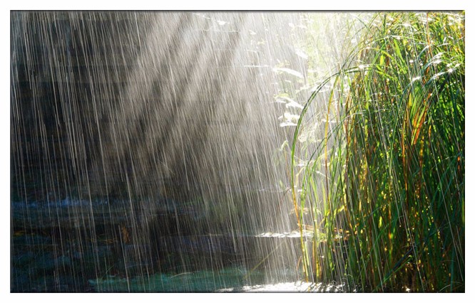 201807191531997731284.jpg 愤怒的雨.jpg