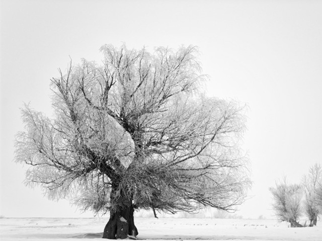 201912151576423882475.jpg 雪2.jpg