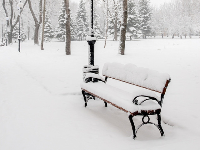 201912151576424077872.jpg 雪3.jpg