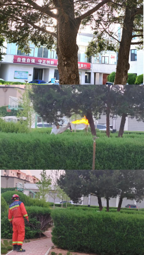 图片好.png